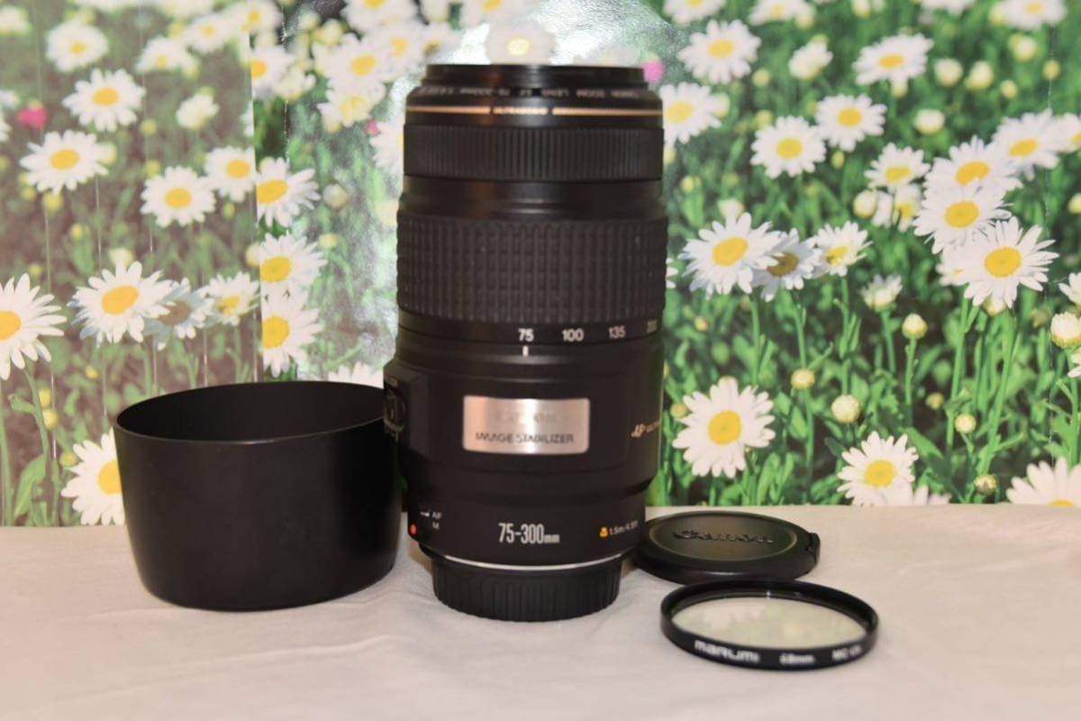 美品Canon EF 75-300mm IS USM超望遠人気望遠｜PayPayフリマ