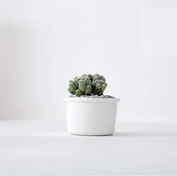バルコニーハンギングプランタークリエイティブシンプル花瓶錬鉄製フラワースタンド植物スタンド植木鉢(Svart)