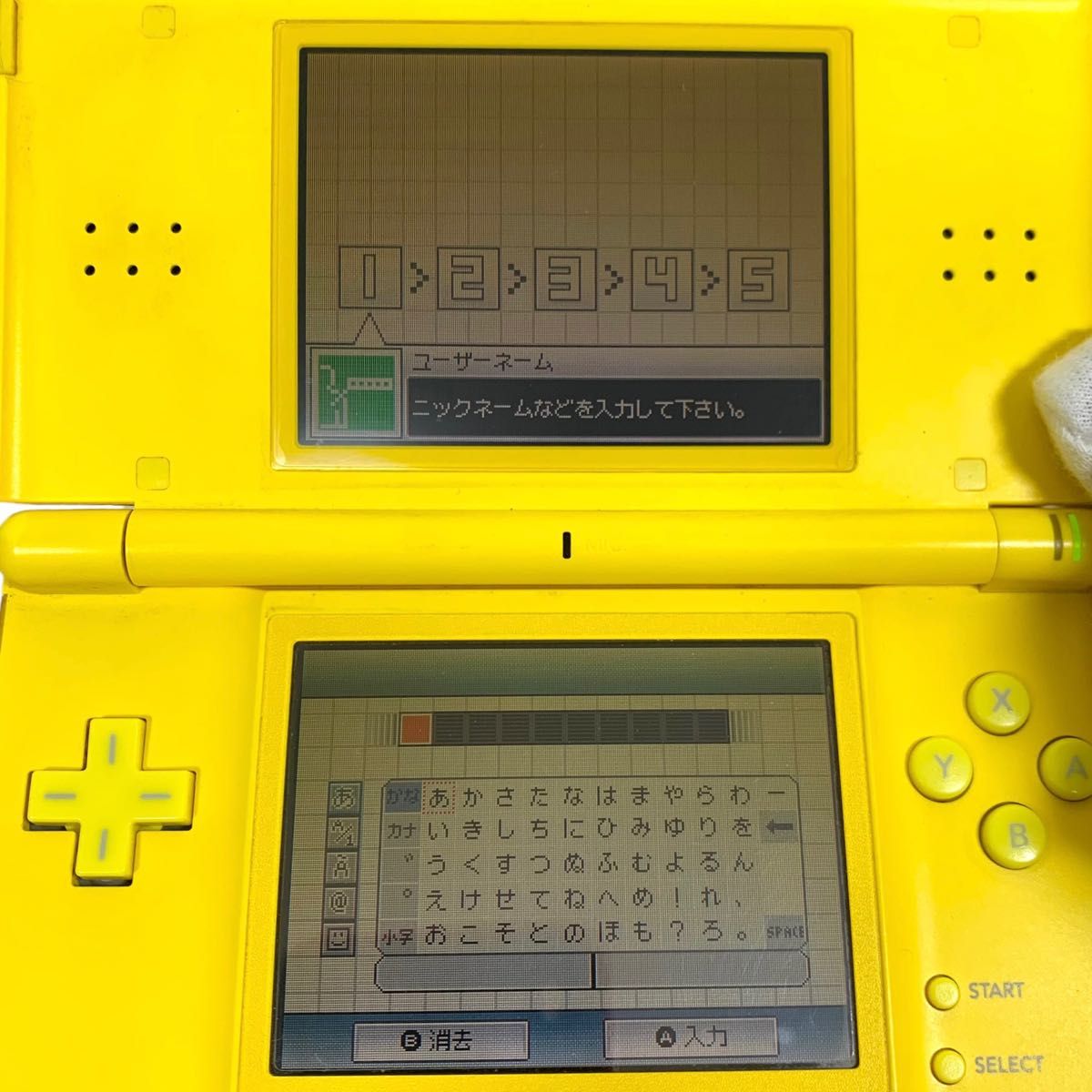 暴風雪の影響 Nintendo DS Lite ピカチュウエディション 、硬化ケース