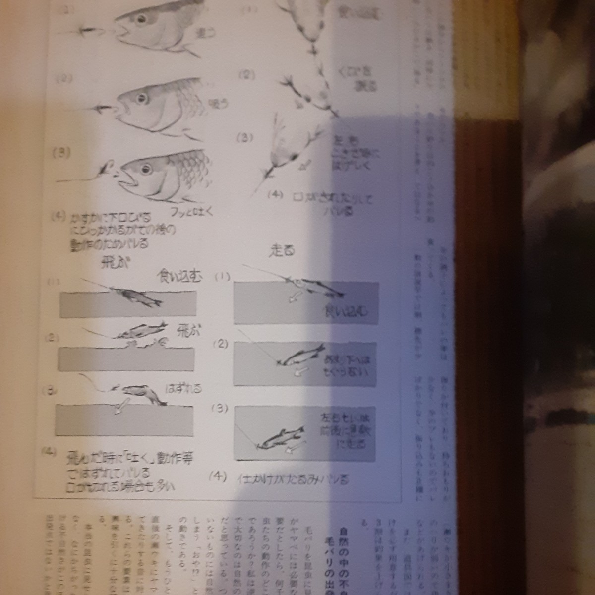 フィッシング別冊付録オイカワの毛鉤釣り研究_画像5