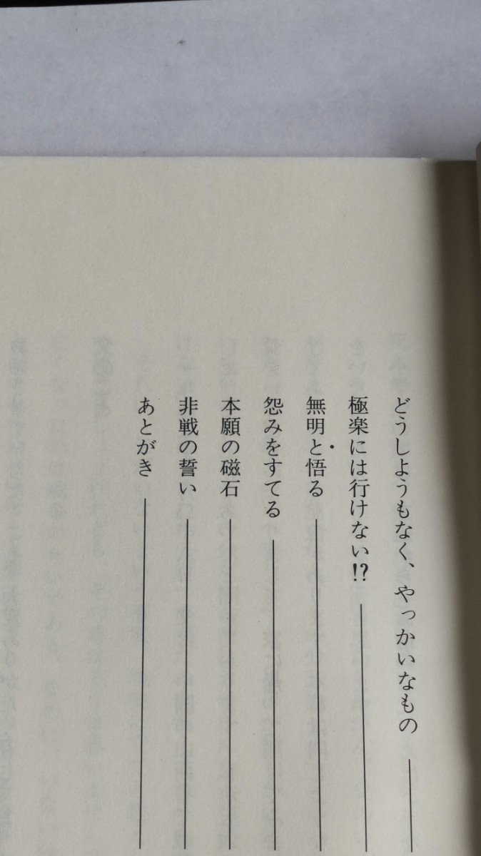 松井憲一 願いに生きる 蓮如と一休 田代俊考 仏教 宗教 真宗 真宗大谷派 親鸞 念仏 法話 1994年_画像4