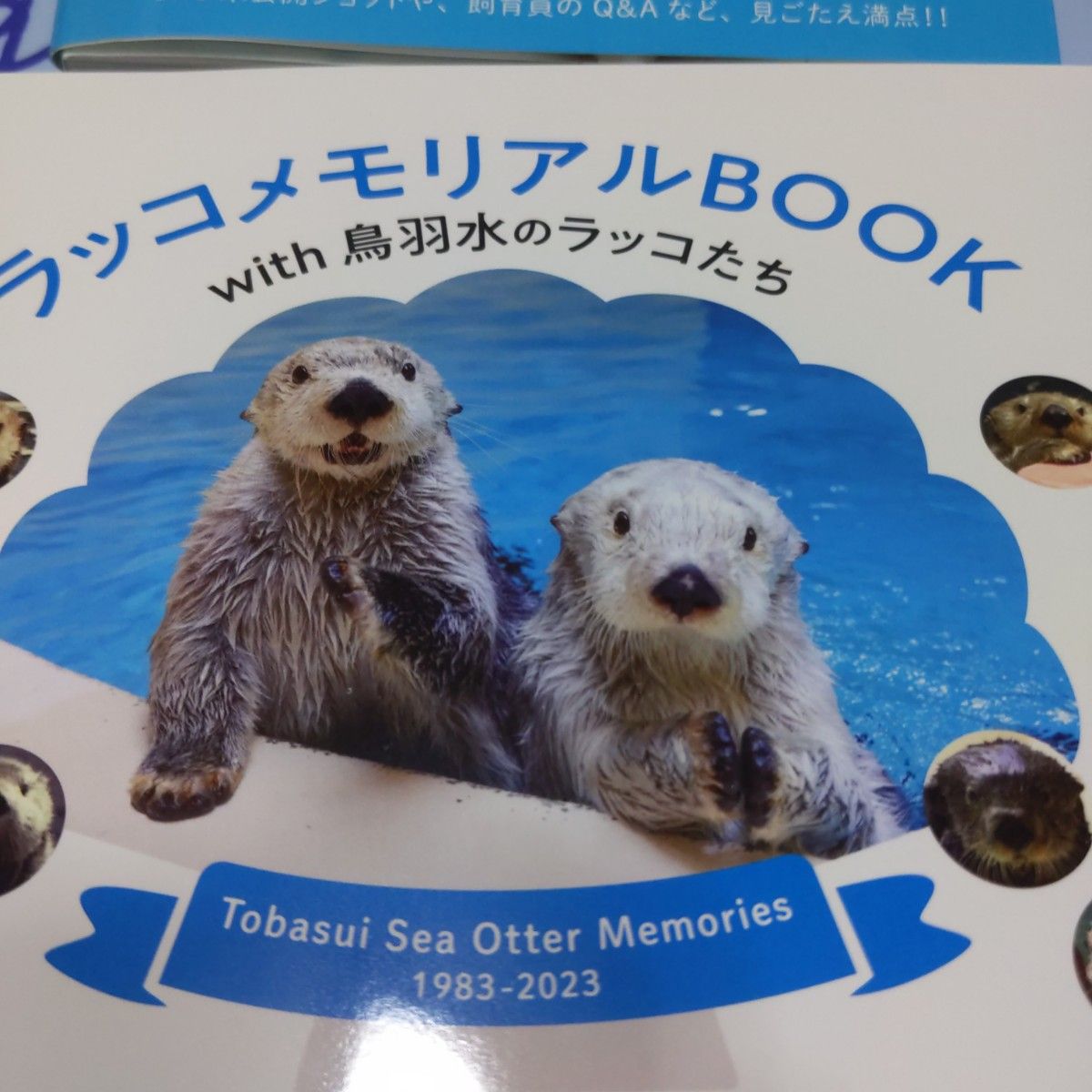 鳥羽水族館 ラッコメメモリアルBOOK ラッコブランケット セット メイ キラ-