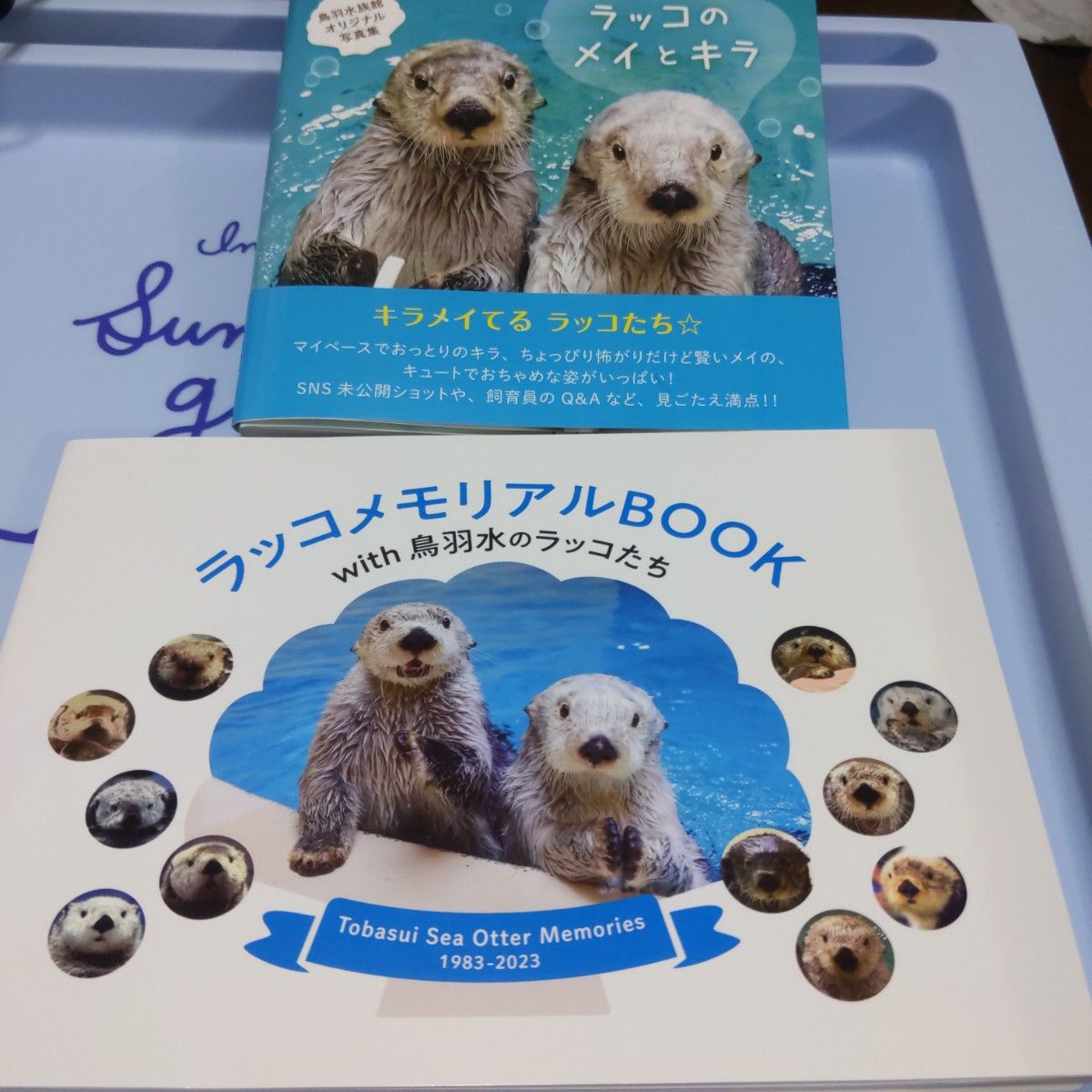 鳥羽水族館 ラッコメメモリアルBOOK ラッコブランケット セット メイ キラ-