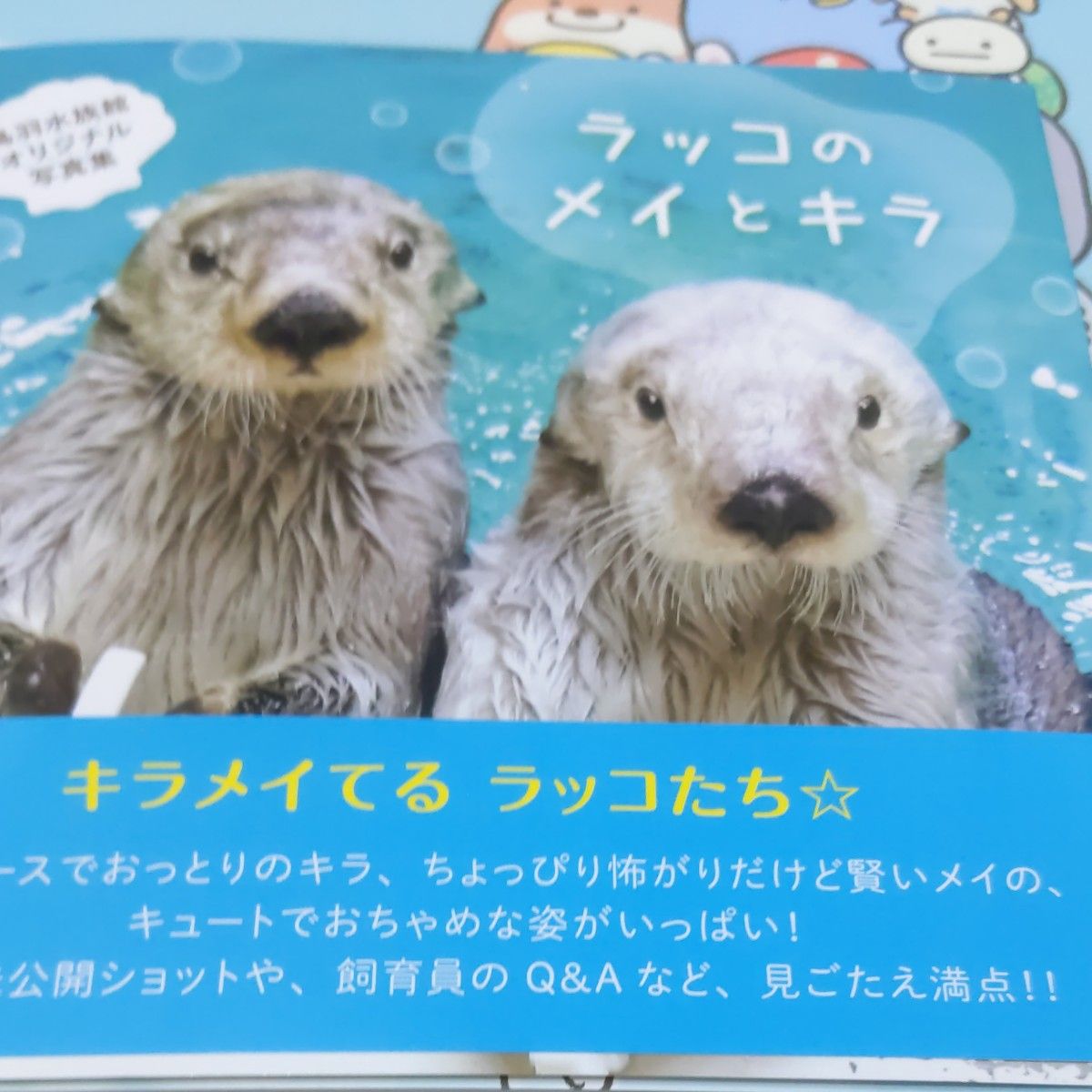 鳥羽水族館　ラッコのキラとメイ写真集　ラッコメモリアルBOOK　2個セット