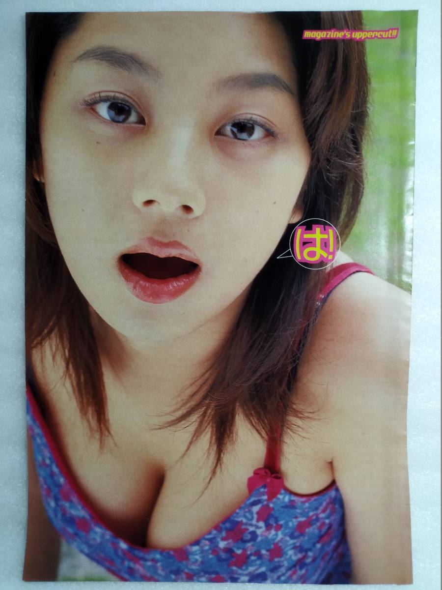 送料込み 【小池栄子 MEGUMI】 雑誌 切り抜き 10ページ分 巨乳 送料込み 【小池栄子 MEGUMI】 雑誌 切り抜き 10ページ分 巨乳