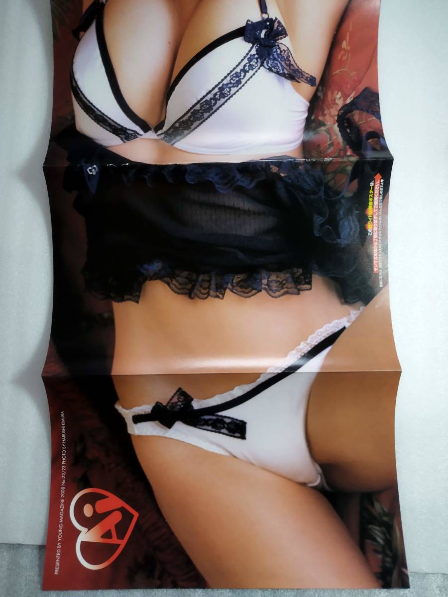  включая доставку [ love . юг Akira .] двусторонний булавка nap1 листов журнал вырезки бикини купальный костюм gravure постер 
