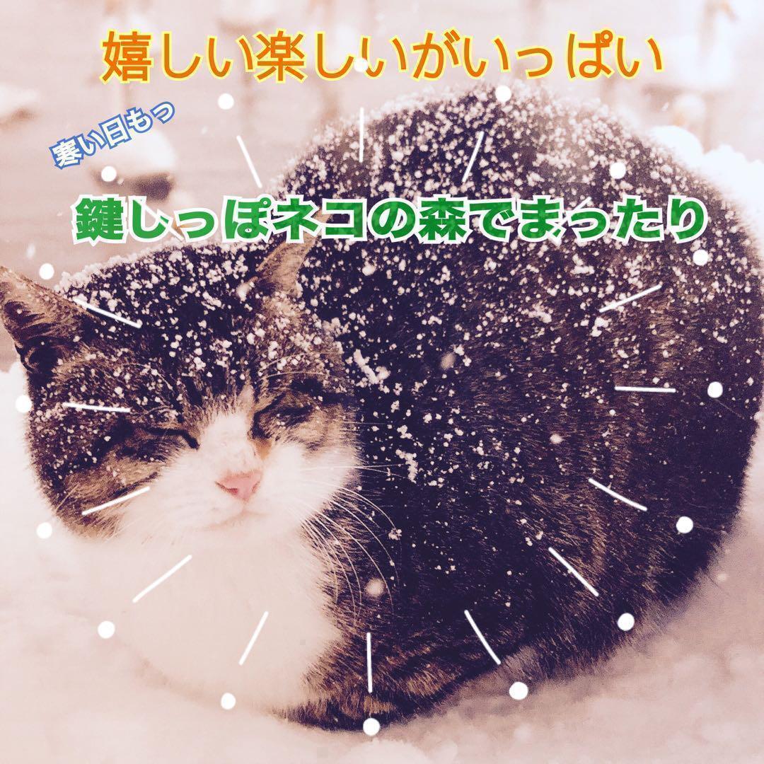 猫まっしぐら　サンライズ　AIM30　室内成猫用　チキン　600g 2袋　キャットフード_画像3