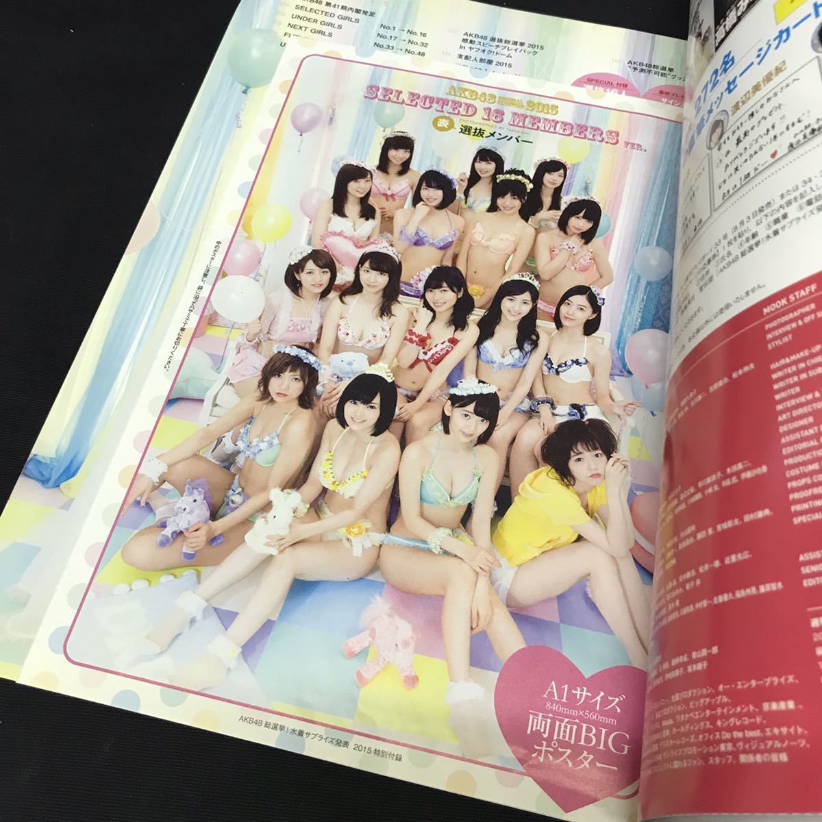 E102は■ AKB48総選挙　スペシャルムック　水着サプライズ発表　2015年号　週刊プレイボーイ特別編集_画像3