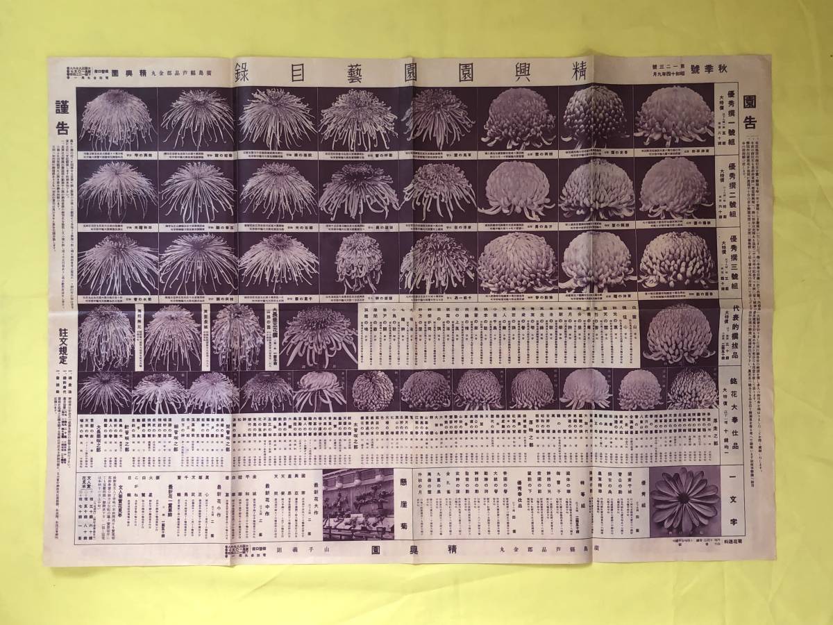 CJ1470ア●精興園園芸目録 昭和14年9月 第123号 菊/菖蒲/牡丹/チューリップ/ヒヤシンス/バラ 両面印刷_画像1