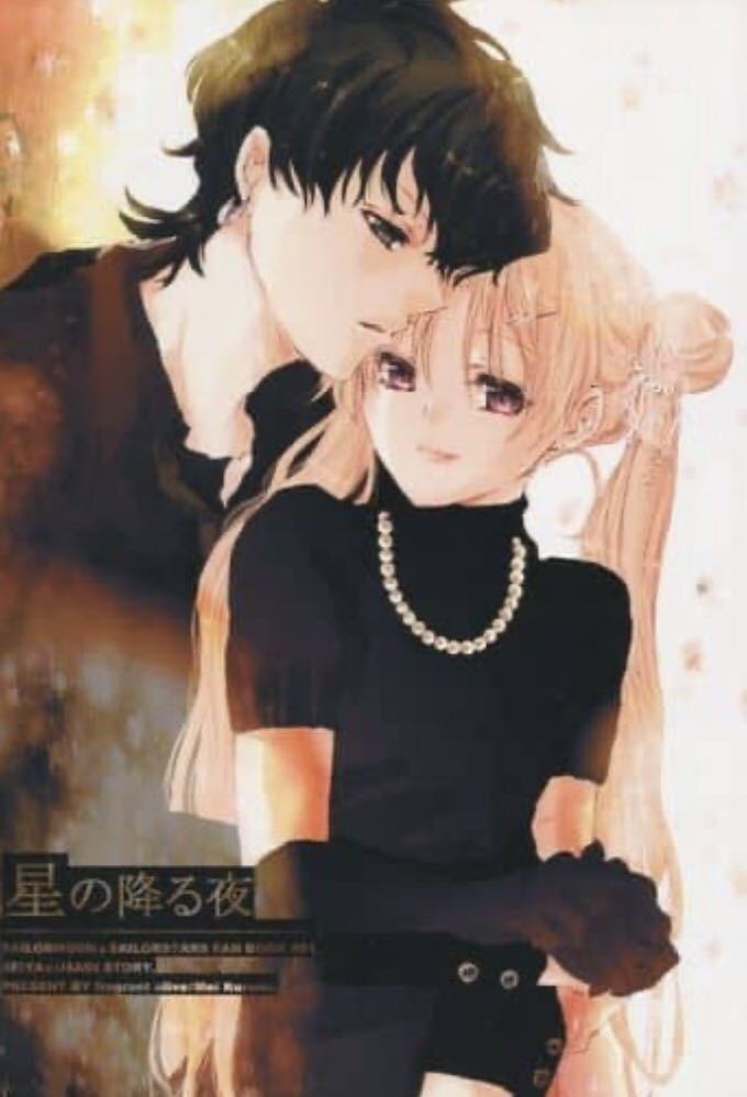 セーラームーン 同人誌 星の降る夜 (星野光×月野うさぎ)星うさ
