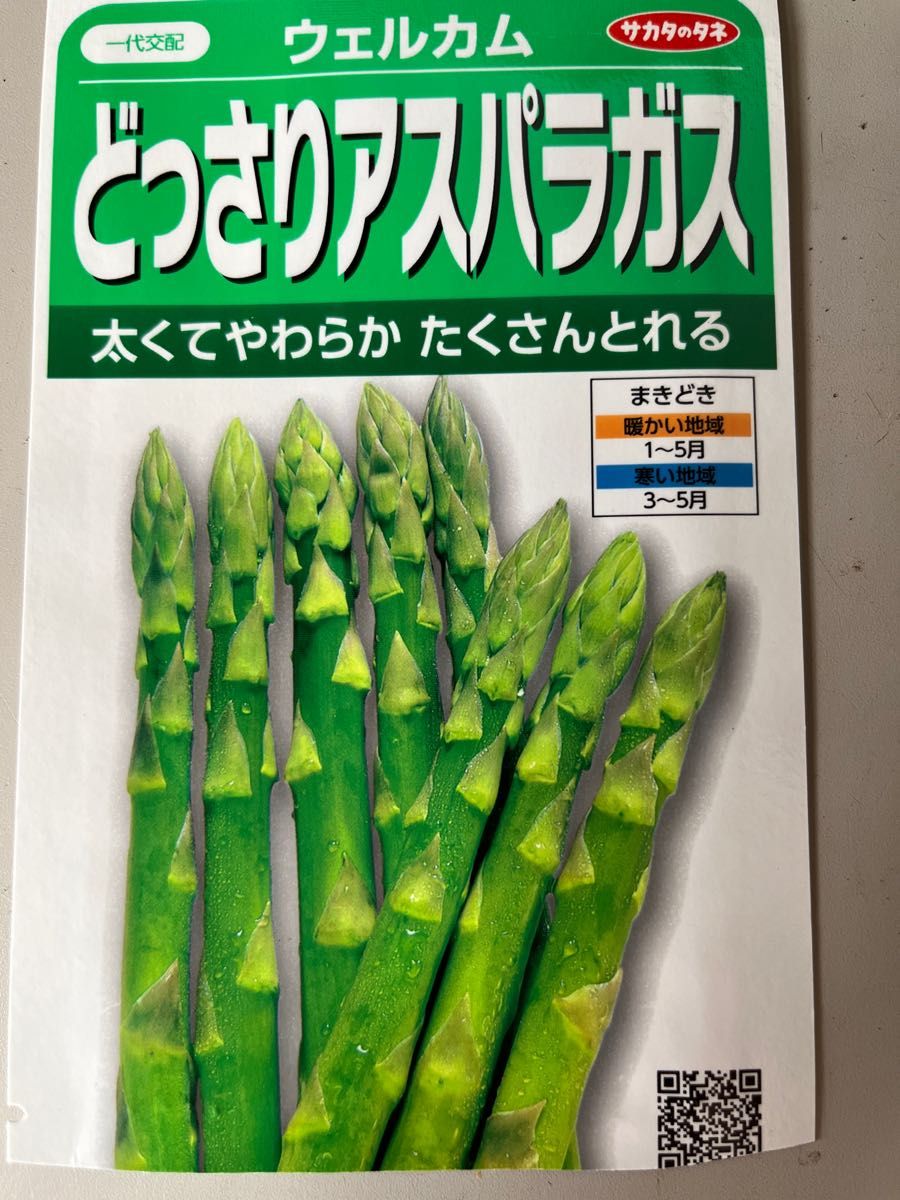 翌年収穫可】8株セット特別価格 北海道産 アスパラガス 株 苗 Yahoo