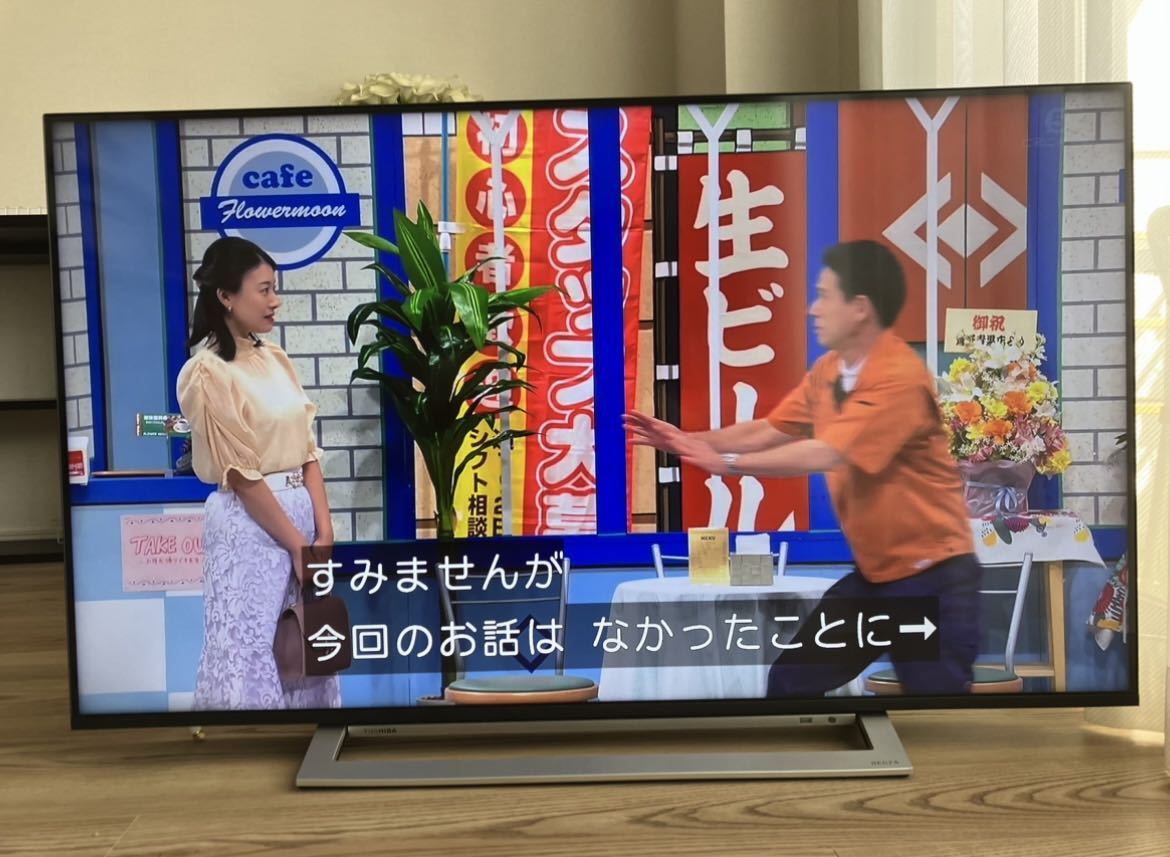 TOSHIBA REGZA 東芝 液晶テレビ 2020年製 50M540X