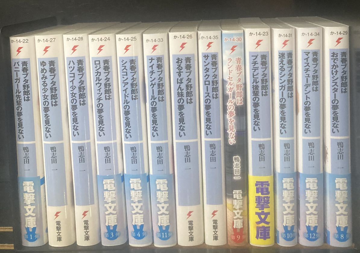 青春ブタ野郎シリーズ 全巻　鴨志田一 溝口ケージ ライトノベル 電撃文庫　青ブタ_画像1