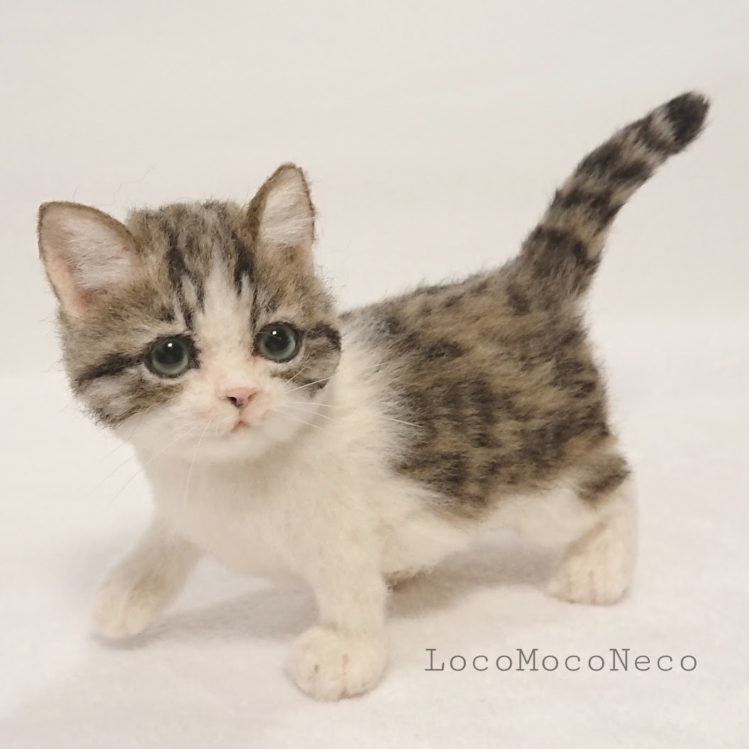 LocoMocoNeco 羊毛フェルト マンチカンの子猫 (キジ白)ブラウン LocoMocoNeco 羊毛フェルト マンチカンの子猫 (キジ白)ブラウン