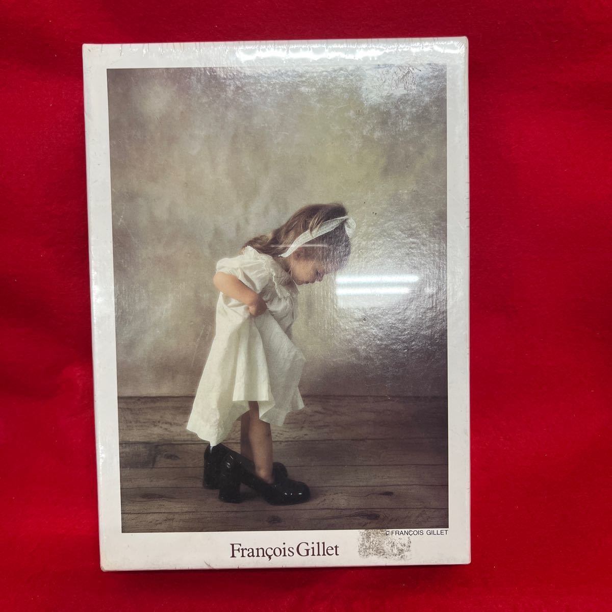 ☆希少☆未開封品☆ ジグソーパズル 小さなマリー Francois Gillet 315ピース 420×300mm 3ア-30 アポロ社 レア (10295C_画像1