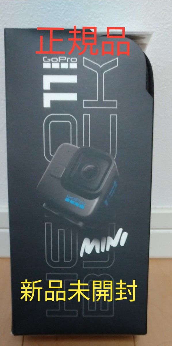 GoPro HERO11 BLACK Mini CHDHF-111-FW γH2239-2F4