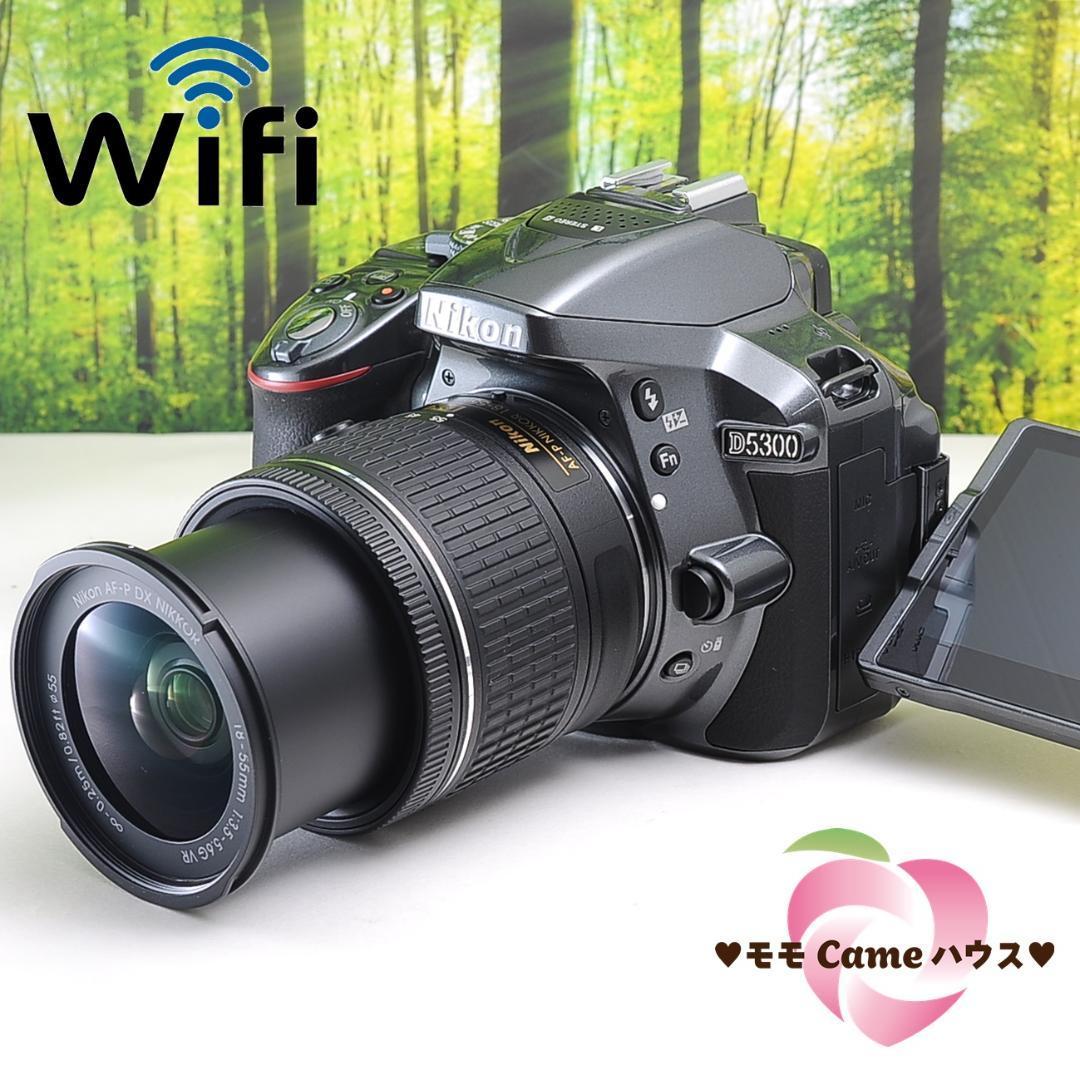 保証書付】 Nikon D5300☆WiFi機能つき☆希少なメタルカラーの一眼レフ