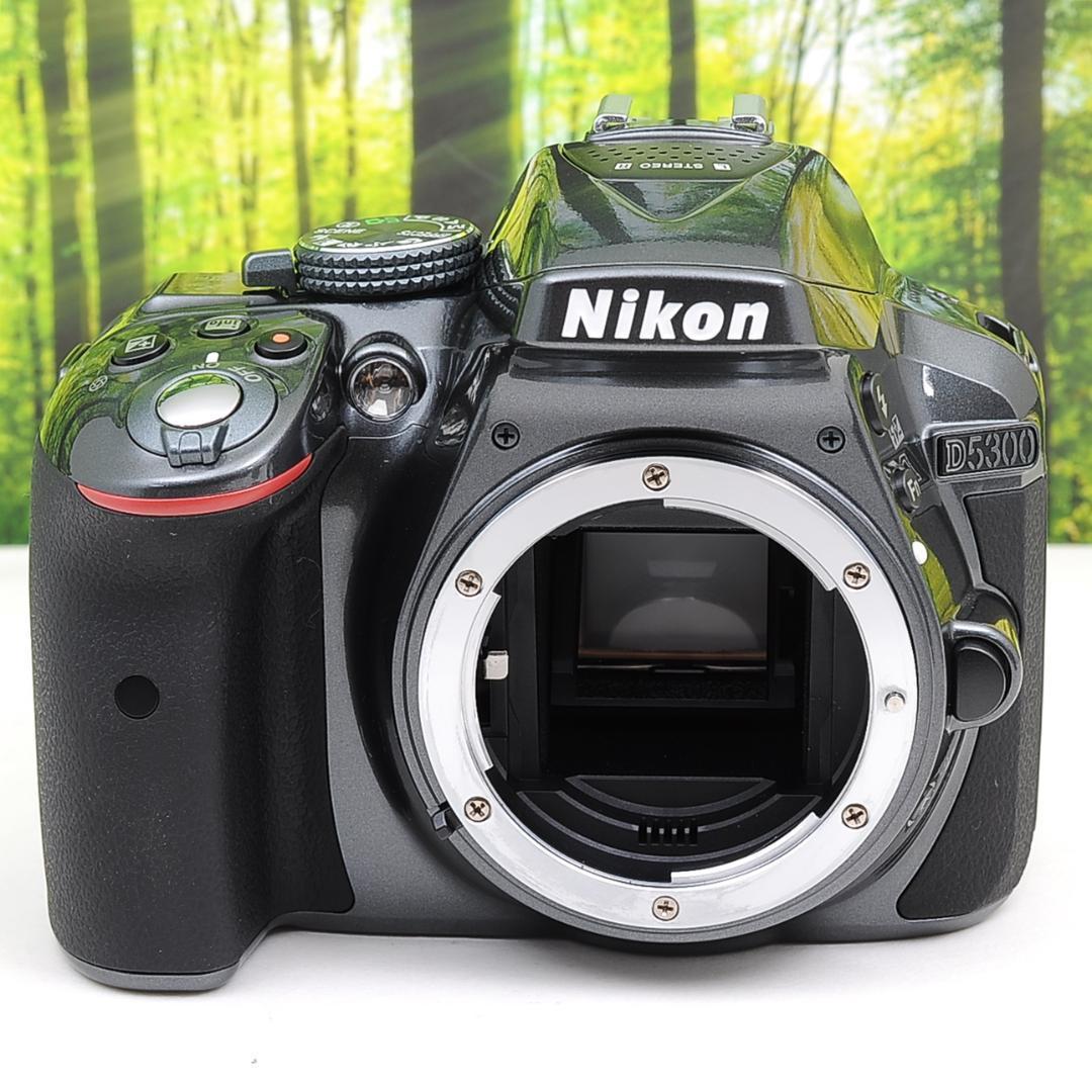 保証書付】 Nikon D5300☆WiFi機能つき☆希少なメタルカラーの一眼レフ