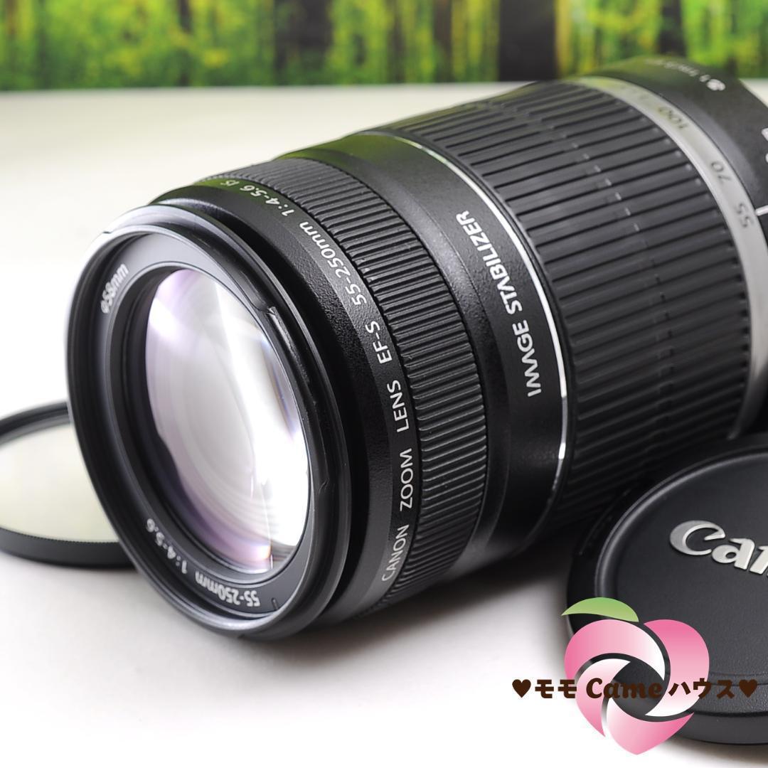 手ブレ補正 250mm 望遠レンズ◇EF-S 55-250mm IS◇EOS-