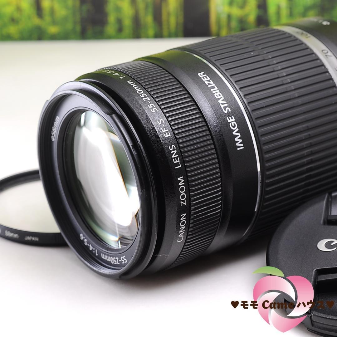 新年の贈り物 Canon EF-S 55-250mm☆手ブレ補正つき望遠レンズ☆4059-1