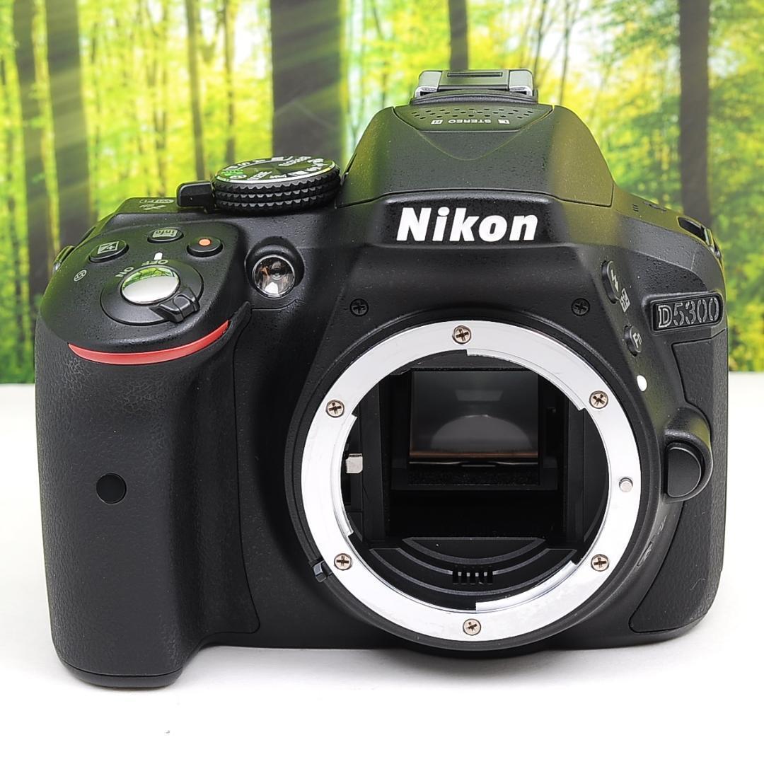 超大特価 Nikon D5300☆スマホに転送できるWiFi機能つき一眼レフ☆4044