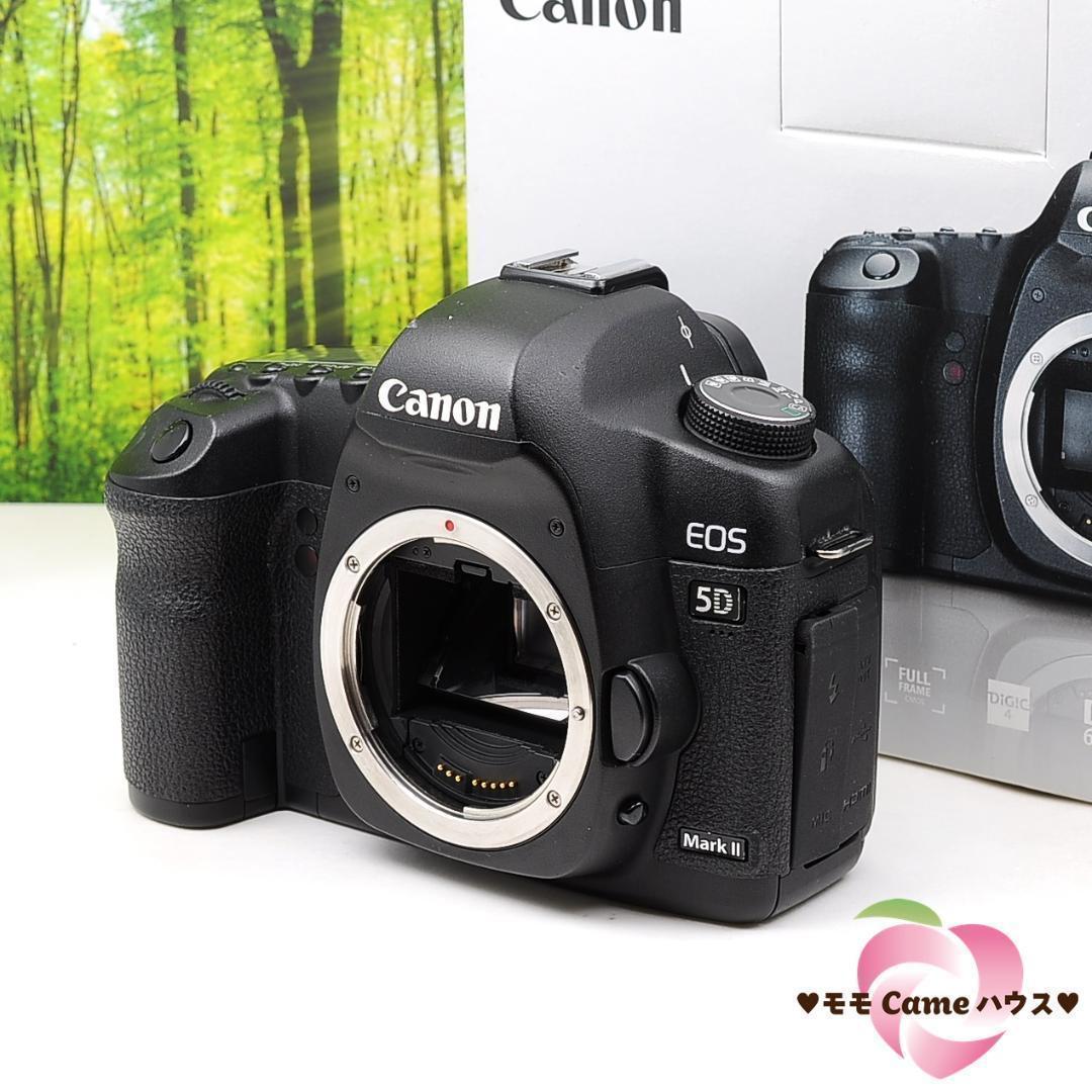 専門ショップ Canon ボディ☆フルサイズ機☆3958 markⅡ 5D キヤノン