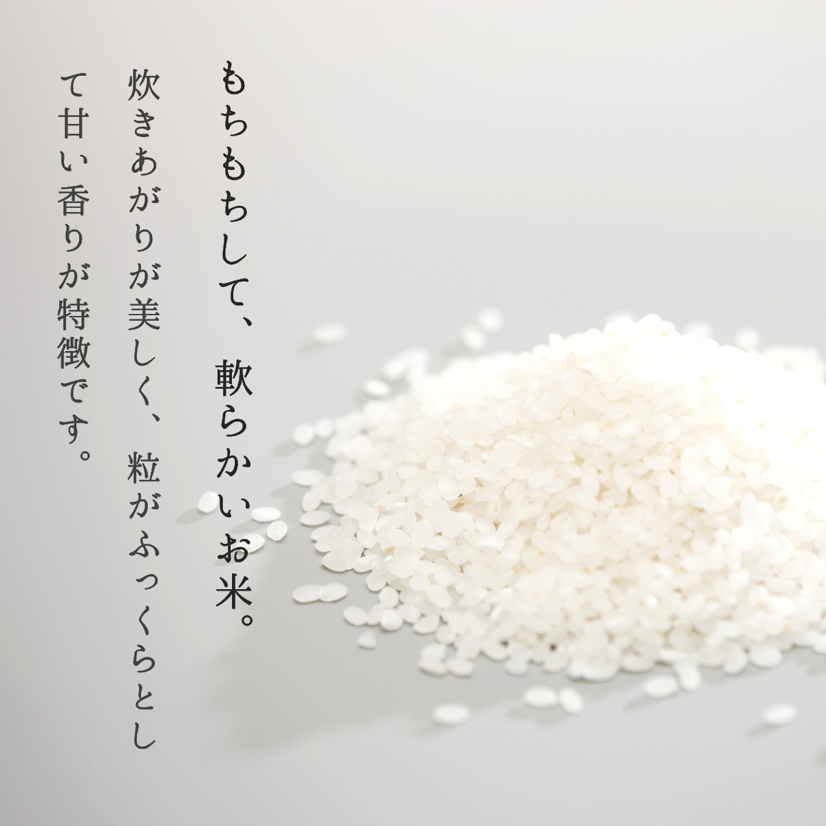 新米 米 お米 10kg 5kg×2袋 山形県産 あきたこまち 送料無料 玄米 白米 精米無料 新米 令和5年産 一等米 10kg 20kg も販売中_画像3