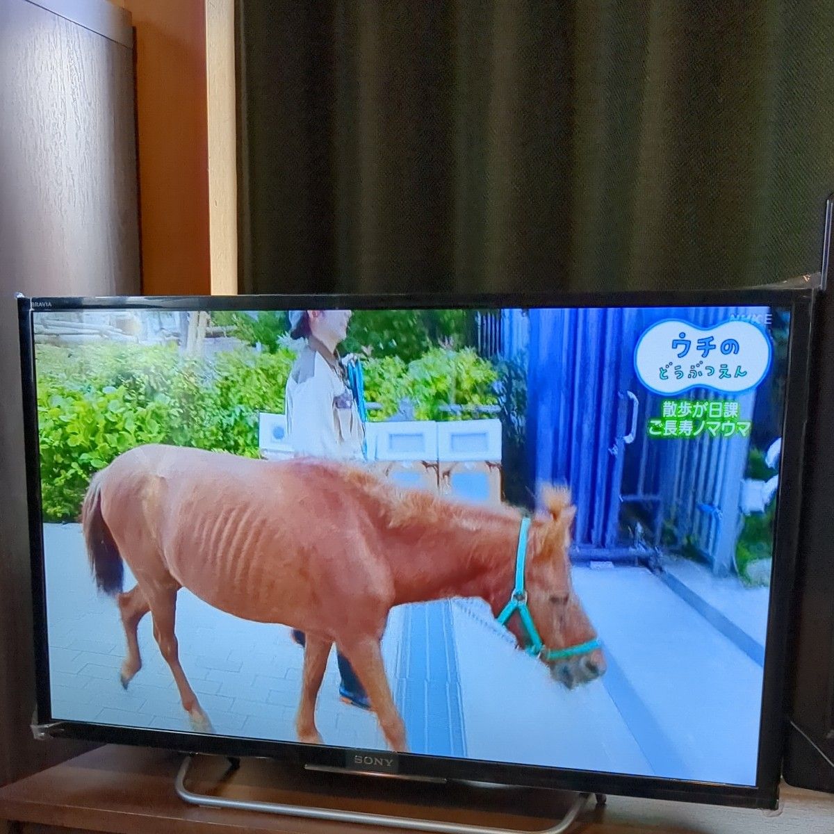 SONY BRAVIA 32V型 KJ-32W730C 液晶テレビ フルHD Yahoo!フリマ（旧）-