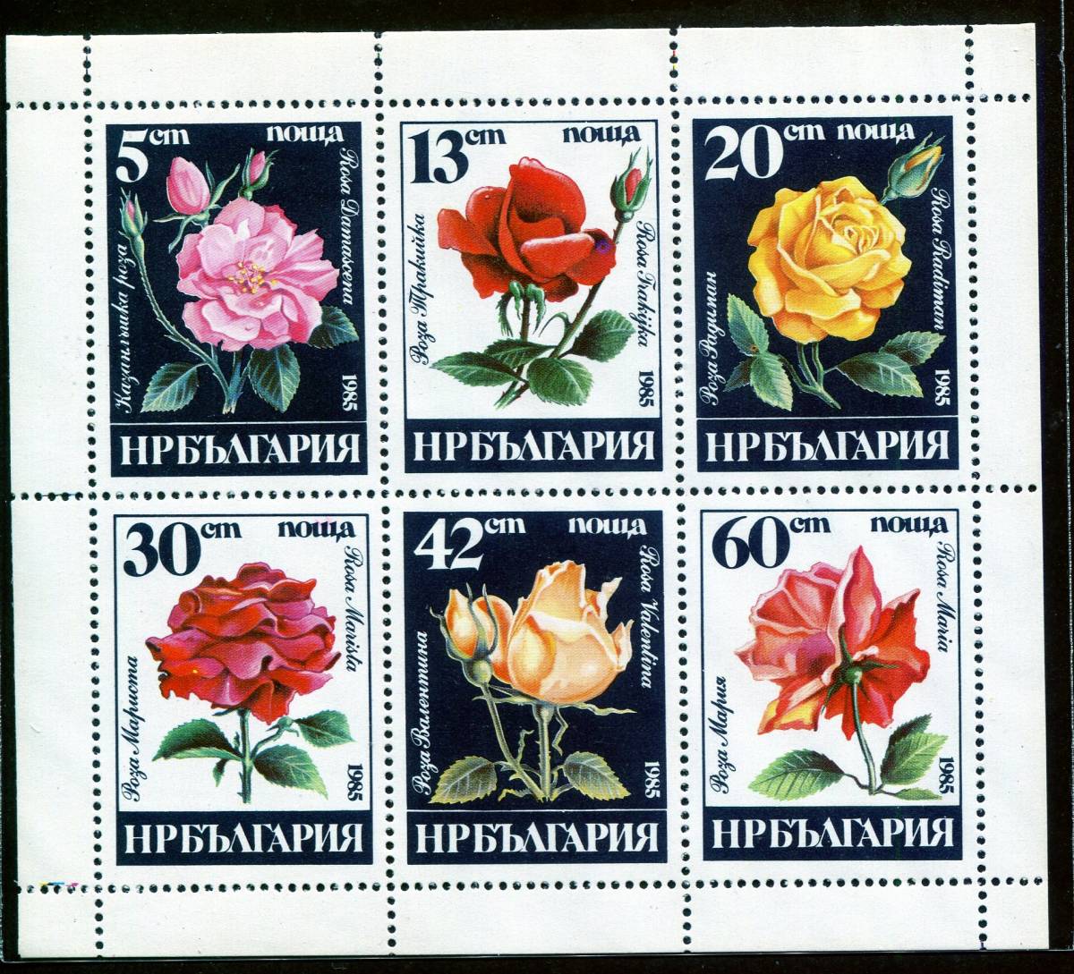 6217◇ブルガリア　1985年　バラの花小型シート　1種完　NH_画像1