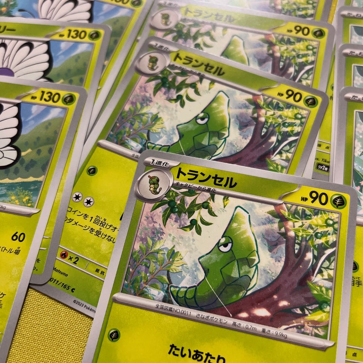 キャタピー トランセル バタフリー ポケモンカード|Yahoo キャタピー トランセル バタフリー ポケモンカード|Yahoo