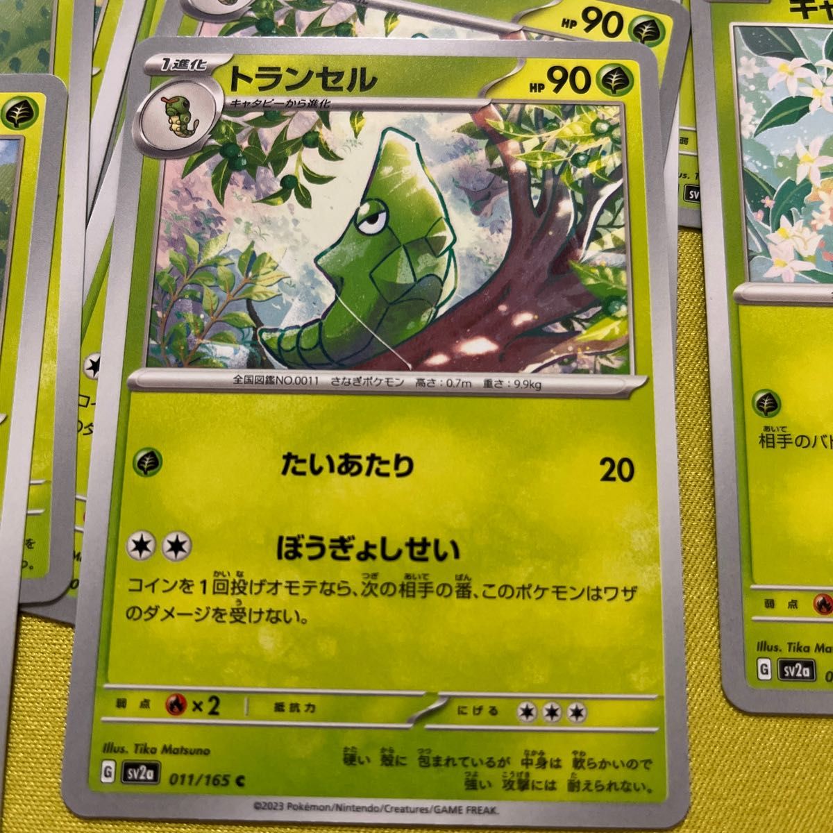 キャタピー トランセル バタフリー ポケモンカード|Yahoo キャタピー トランセル バタフリー ポケモンカード|Yahoo