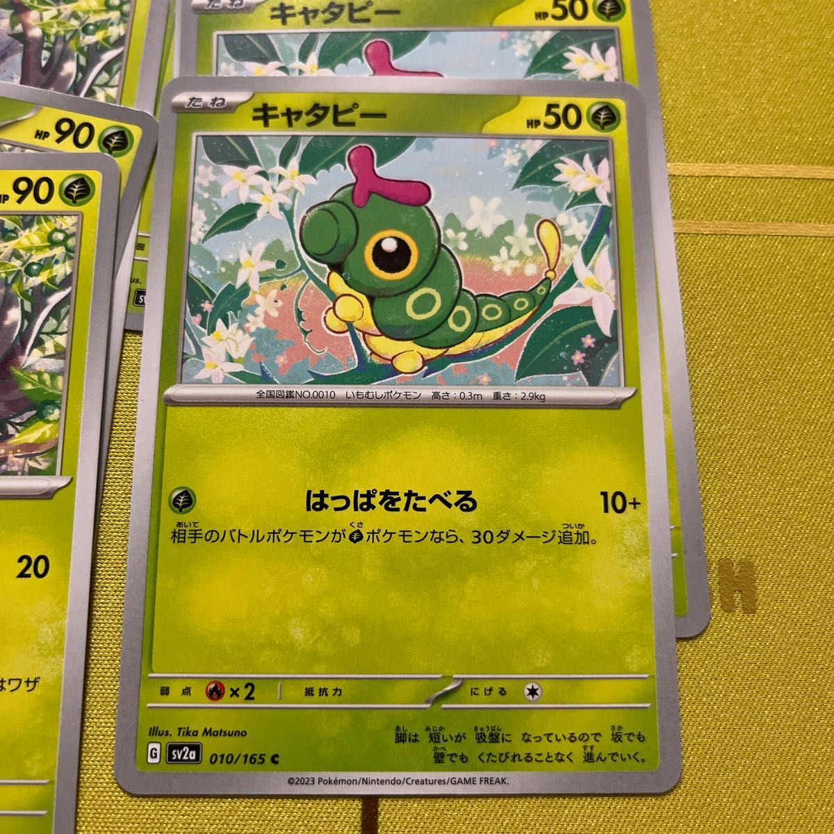 キャタピー トランセル バタフリー ポケモンカード|Yahoo キャタピー トランセル バタフリー ポケモンカード|Yahoo