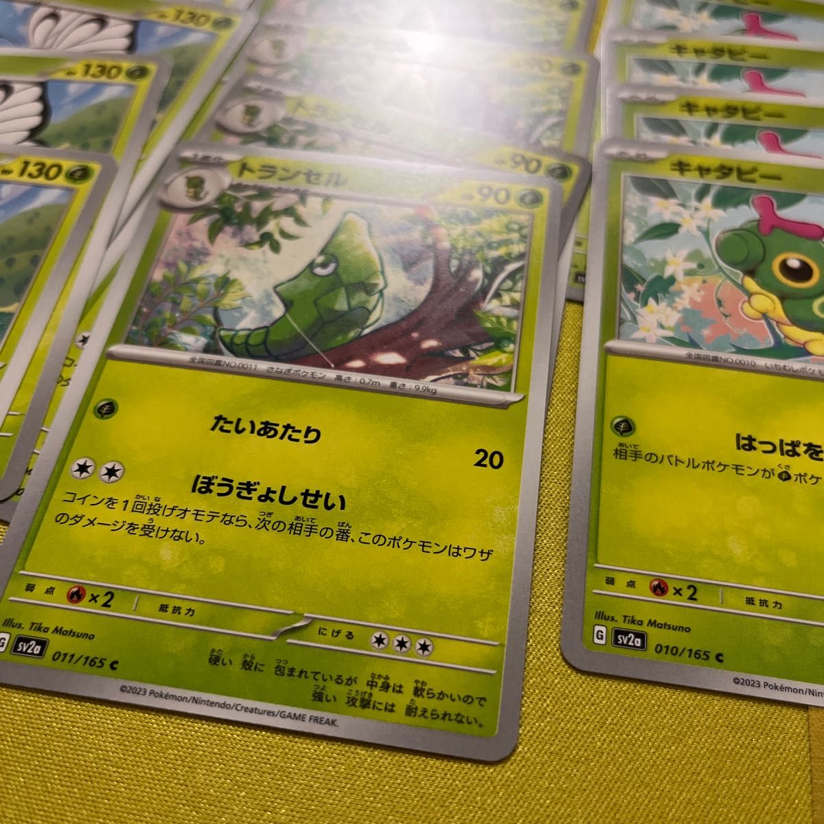 キャタピー トランセル バタフリー ポケモンカード|Yahoo キャタピー トランセル バタフリー ポケモンカード|Yahoo