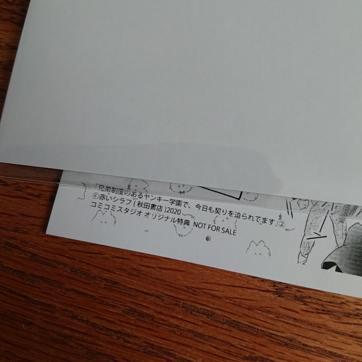 美品☆兄弟制度のあるヤンキー学園で、今日も契りを迫られてます 2/赤いシラフ/コミコミ特典ペーパー 初回特典ペーパー☆_画像2