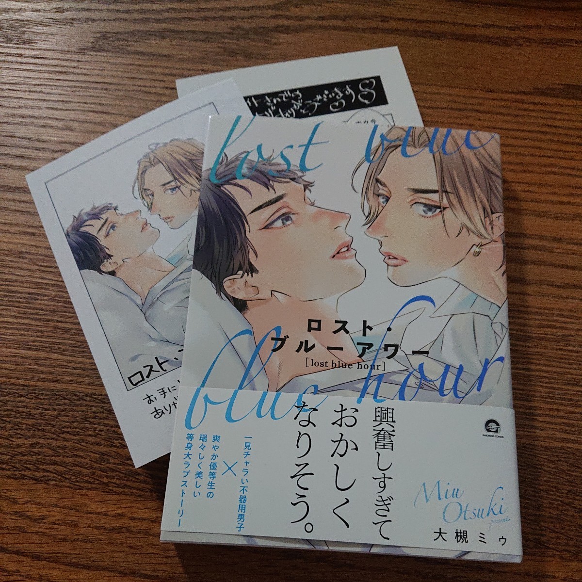 新刊!!極美品☆ロスト・ブルーアワー/大槻ミウ/BL 漫画/アニメイト特典