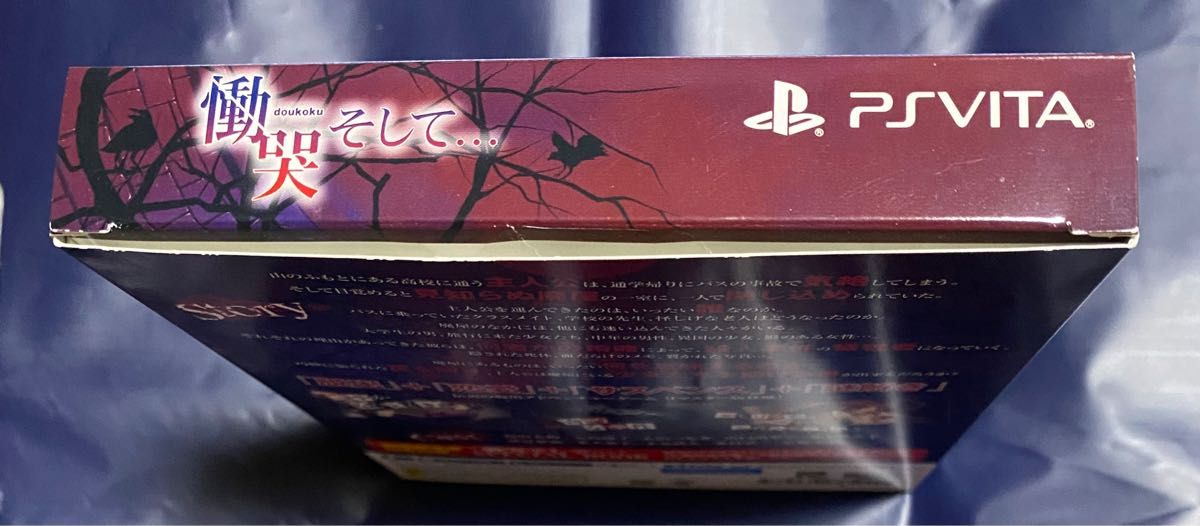 慟哭そして… 初回限定版 PS vita