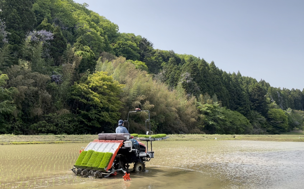 令和5年産 新米 コシヒカリ 13.5kg 白米 福島県産　送料無料_画像6