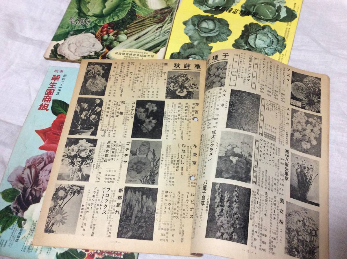 業界紙　園芸通信・園藝の泉・草生園商報・花王園 1956年～62年　4冊_画像7