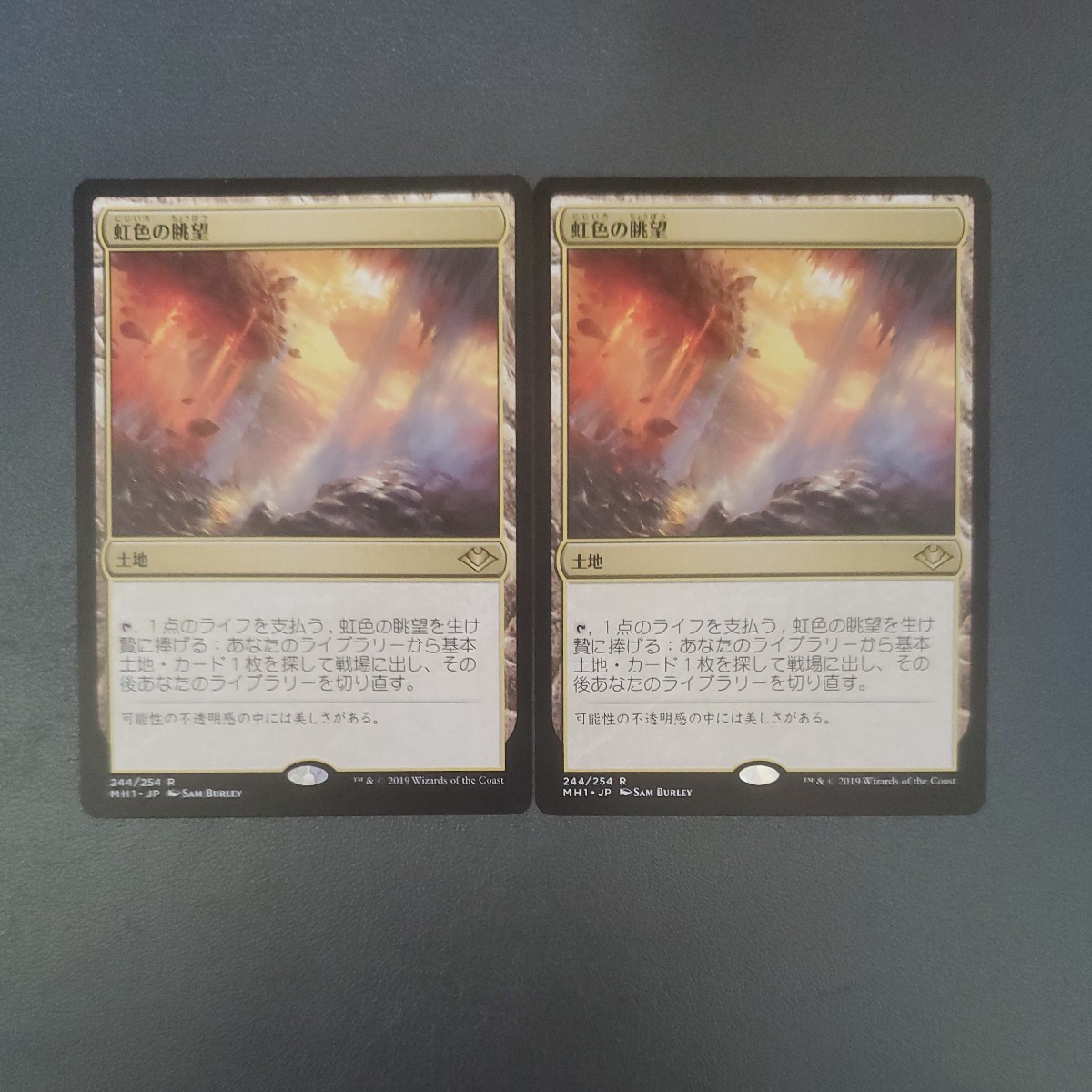 登場! 虹色の眺望 MTG MH1 2枚セット 日本語 土地 - fcbouaye.fr