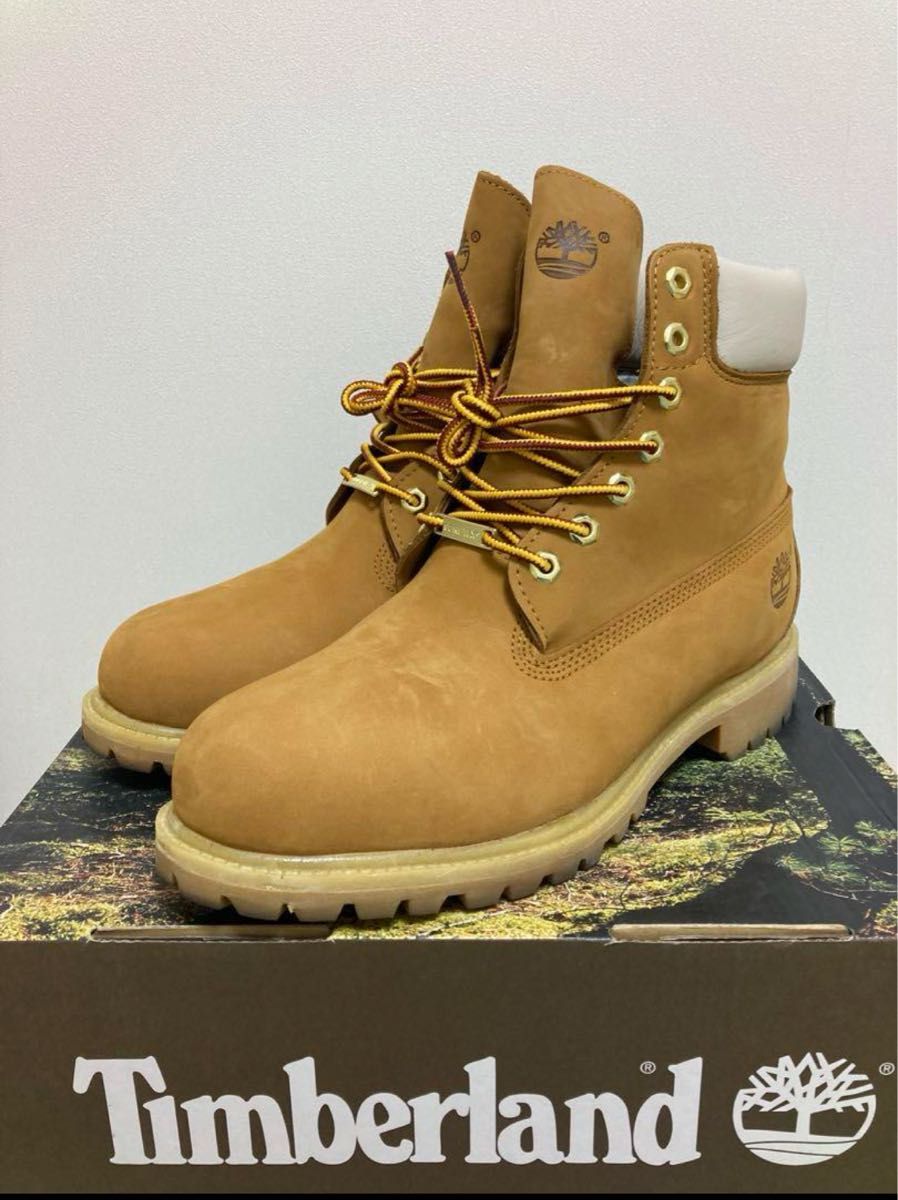 Timberland GORE-TEX 6インチティンバーランド40周年　29.0cm US11.0