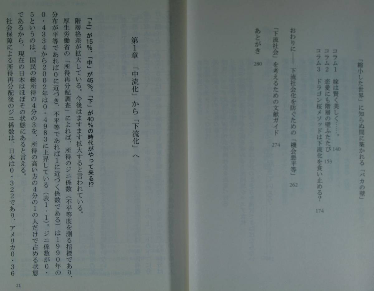 下流社会　新たな階層集団の出現（光文社新書221）三浦展／著