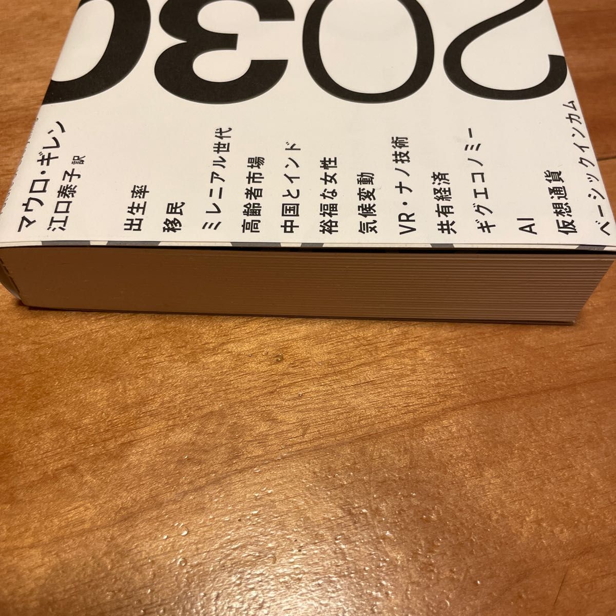 ２０３０　世界の大変化を「水平思考」で展望する マウロ・ギレン／著　江口泰子／訳