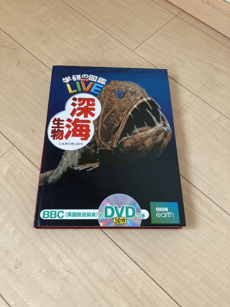 学研の図鑑 15 ライブ LIVE 深海生物 (DVD無し、図鑑のみ) Gakken 図鑑_画像1