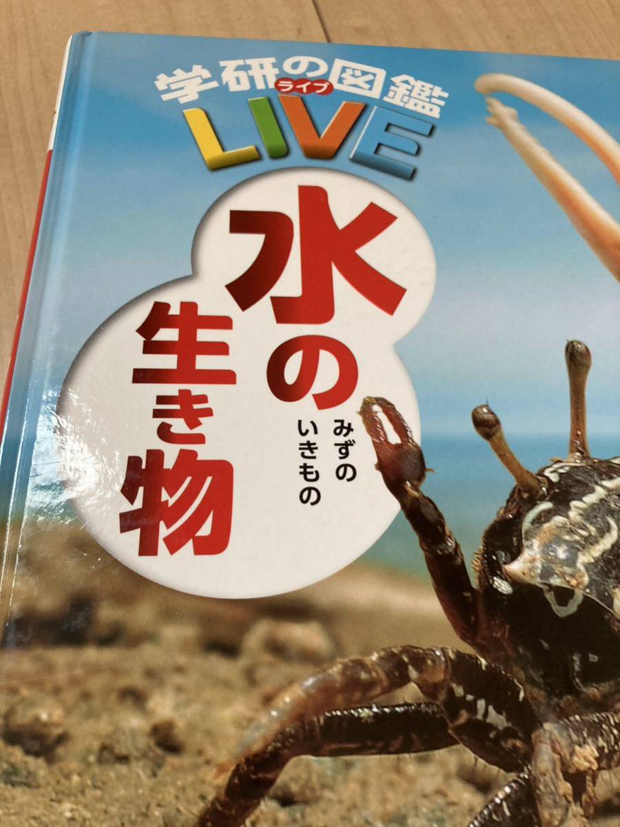 学研の図鑑 10ライブ LIVE 水の生き物(DVD無し、図鑑のみ) Gakken 図鑑_画像5