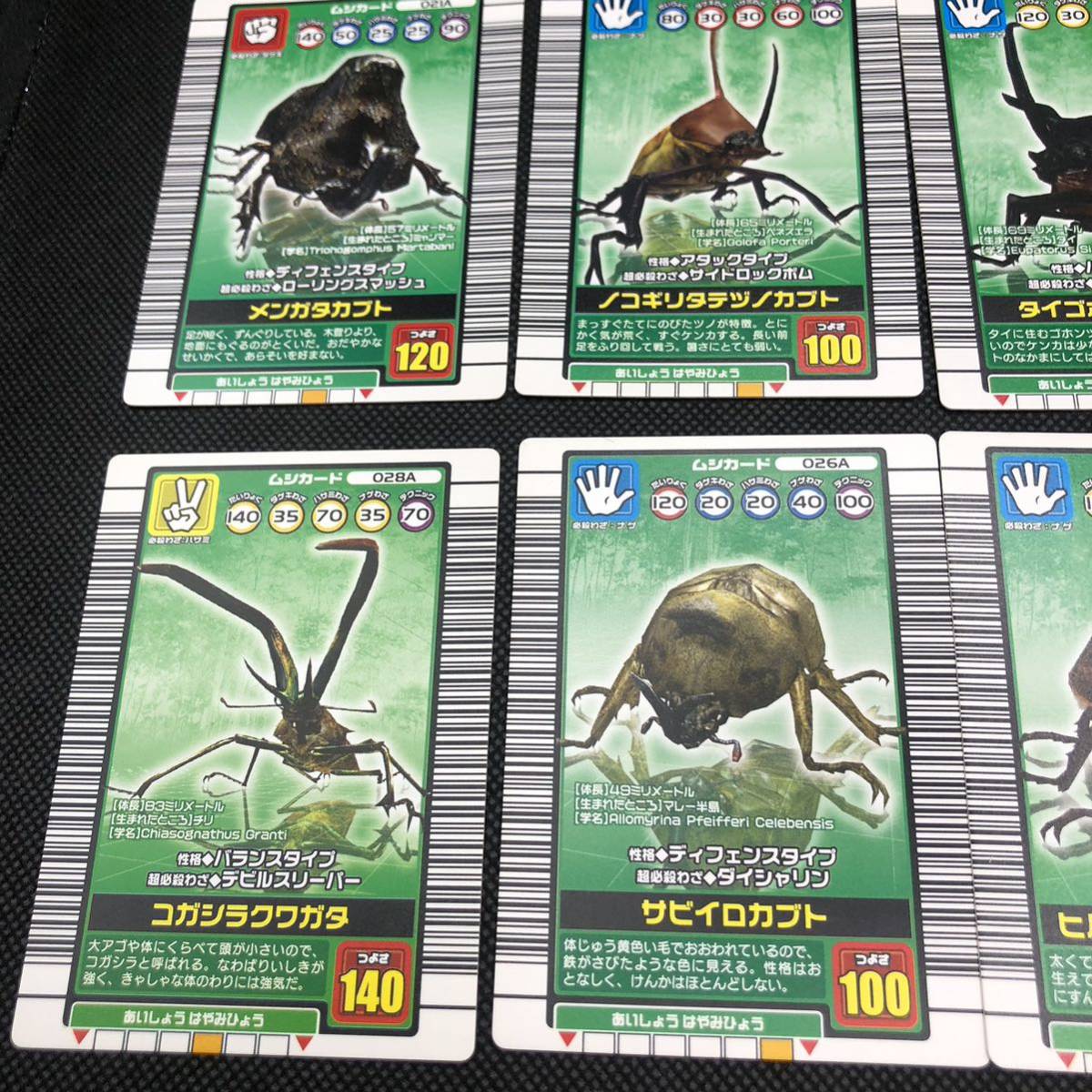 甲虫王者 ムシキング ムシキングカード 2003 秋 ムシカード 甲虫王者 ムシキング ムシキングカード 2003 秋 ムシカード