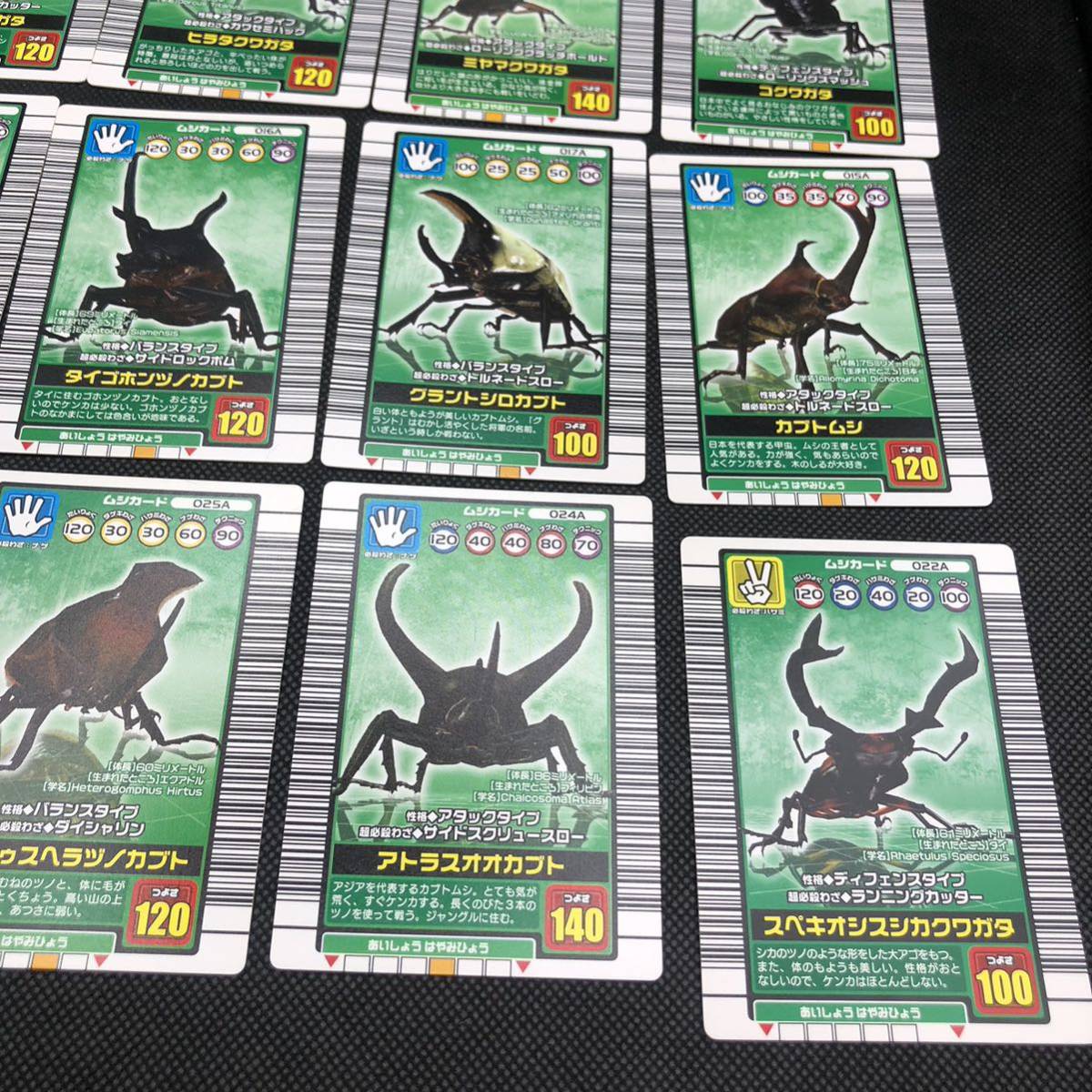 甲虫王者 ムシキング ムシキングカード 2003 秋 ムシカード 甲虫王者 ムシキング ムシキングカード 2003 秋 ムシカード