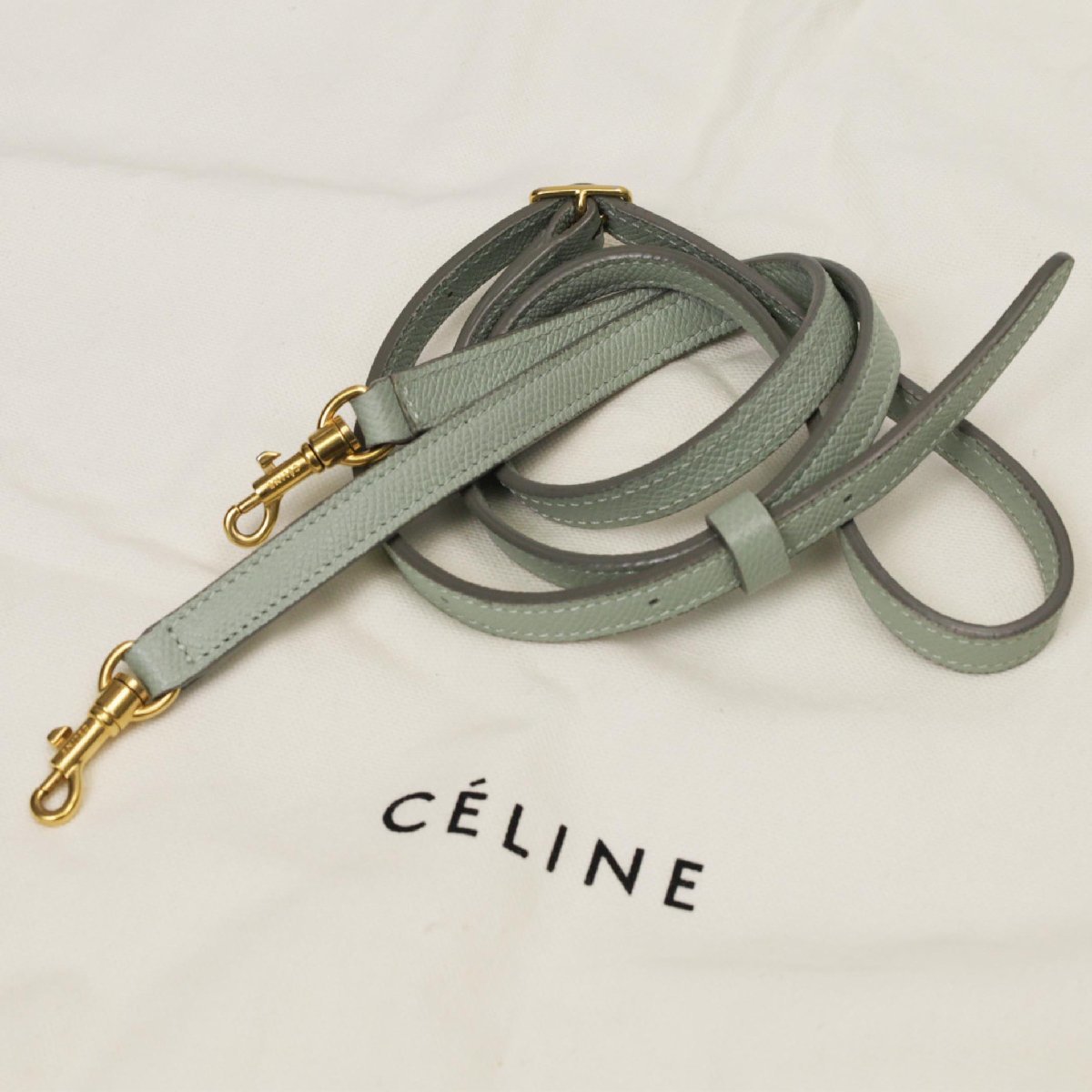 【超美品】CLINE セリーヌ ベルトバッグ ナノ クロスボディ ピスタチオ_画像10