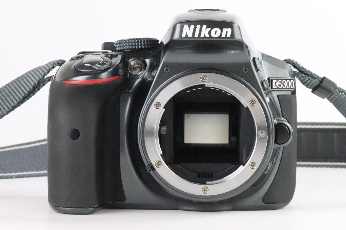 魅力の Nikkor DX AF-S デジタル一眼レフカメラ IIレンズキット VR 18