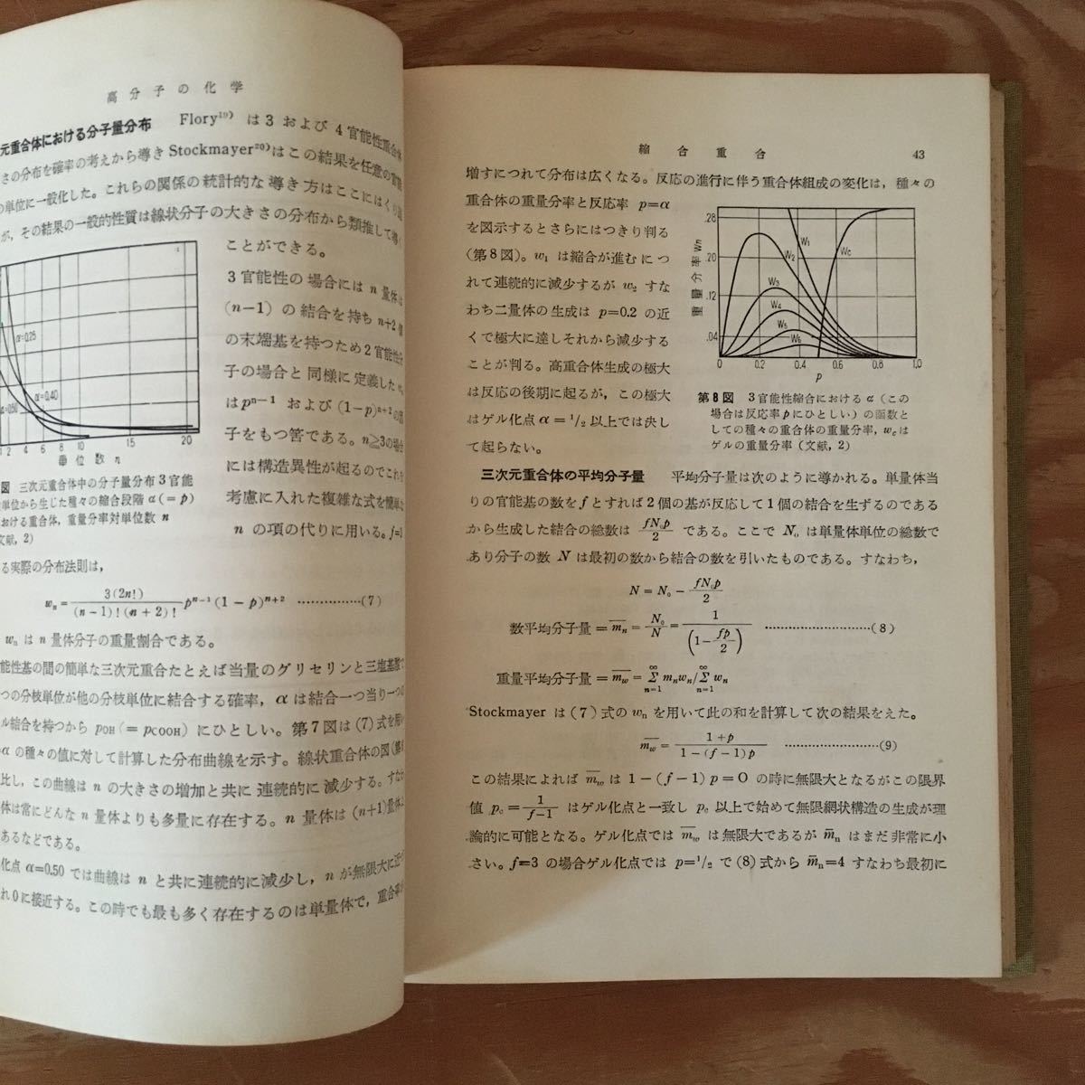 Y90L1-231010 レア［高分子の化学 THE CHEMISTRY OF HIGH POLYMERS C. E. H. BAWN］重合体分子の本質_画像5