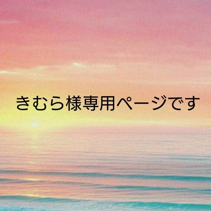 きむら様専用ページです｜Yahoo!フリマ（旧PayPayフリマ）